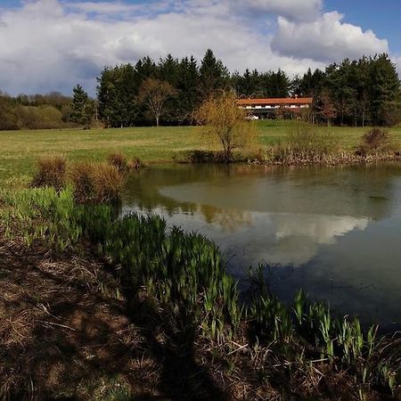 Orsegi Patakparti Alpaka Panzio Kisrakos Exterior foto