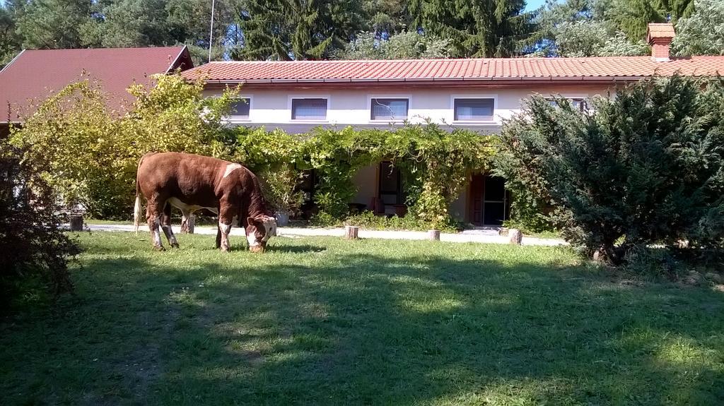 Orsegi Patakparti Alpaka Panzio Kisrakos Exterior foto
