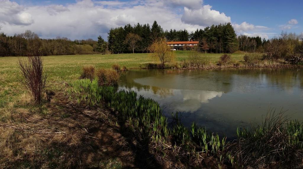 Orsegi Patakparti Alpaka Panzio Kisrakos Exterior foto