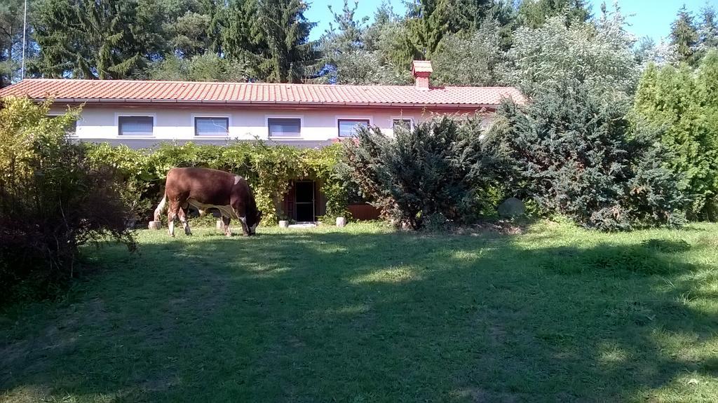 Orsegi Patakparti Alpaka Panzio Kisrakos Exterior foto