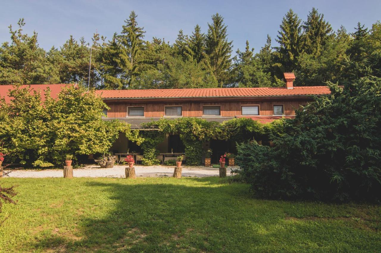 Orsegi Patakparti Alpaka Panzio Kisrakos Exterior foto
